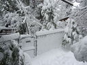 Filename=IMG_0713.JPG
Filesize=694KiB
Dimensions=2048x1536
Date added=Feb 01, 2018 IMG_0713.JPG
