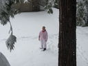 Filename=IMG_0715.JPG
Filesize=324KiB
Dimensions=2048x1536
Date added=Feb 01, 2018 IMG_0715.JPG