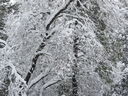 Filename=IMG_0716.JPG
Filesize=1014KiB
Dimensions=2048x1536
Date added=Feb 01, 2018 IMG_0716.JPG