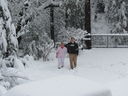 Filename=IMG_0718.JPG
Filesize=561KiB
Dimensions=2048x1536
Date added=Feb 01, 2018 IMG_0718.JPG