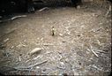 Filename=11-15.jpg
Filesize=607KiB
Dimensions=1800x1220
Date added=Jan 31, 2018 11-15.jpg