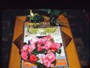 Filename=16-14.jpg
Filesize=627KiB
Dimensions=1800x1357
Date added=Jan 31, 2018 16-14.jpg