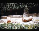 Filename=22-10.jpg
Filesize=549KiB
Dimensions=1800x1431
Date added=Jan 31, 2018 22-10.jpg