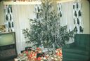 Filename=36-19.jpg
Filesize=759KiB
Dimensions=1800x1225
Date added=Jan 31, 2018 36-19.jpg