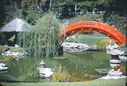 Filename=40-7.jpg
Filesize=632KiB
Dimensions=1800x1220
Date added=Jan 31, 2018 40-7.jpg