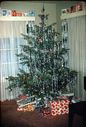 Filename=43-18.jpg
Filesize=717KiB
Dimensions=1222x1800
Date added=Jan 31, 2018 43-18.jpg