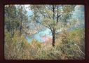 Filename=44-21.jpg
Filesize=1007KiB
Dimensions=1800x1273
Date added=Jan 31, 2018 44-21.jpg