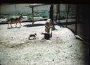 Filename=48-17.jpg
Filesize=761KiB
Dimensions=1800x1294
Date added=Jan 31, 2018 48-17.jpg