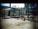 Filename=48-18.jpg
Filesize=717KiB
Dimensions=1800x1362
Date added=Jan 31, 2018 48-18.jpg