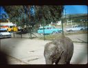 Filename=48-20.jpg
Filesize=677KiB
Dimensions=1800x1395
Date added=Jan 31, 2018 48-20.jpg