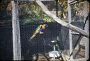 Filename=6-6.jpg
Filesize=773KiB
Dimensions=1800x1219
Date added=Jan 31, 2018 6-6.jpg
