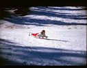Filename=64-11.jpg
Filesize=546KiB
Dimensions=1800x1401
Date added=Jan 31, 2018 64-11.jpg