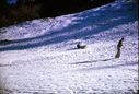 Filename=64-4.jpg
Filesize=593KiB
Dimensions=1800x1220
Date added=Jan 31, 2018 64-4.jpg