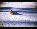 Filename=64-9.jpg
Filesize=543KiB
Dimensions=1800x1409
Date added=Jan 31, 2018 64-9.jpg