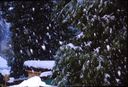 Filename=65-15.jpg
Filesize=650KiB
Dimensions=1800x1225
Date added=Jan 31, 2018 65-15.jpg