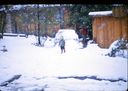 Filename=65-16.jpg
Filesize=373KiB
Dimensions=1800x1283
Date added=Jan 31, 2018 65-16.jpg