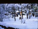 Filename=66-1.jpg
Filesize=694KiB
Dimensions=1800x1392
Date added=Jan 31, 2018 66-1.jpg