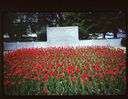 Filename=75-13.jpg
Filesize=917KiB
Dimensions=1800x1393
Date added=Jan 31, 2018 75-13.jpg