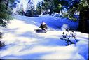 Filename=79-12.jpg
Filesize=480KiB
Dimensions=1800x1217
Date added=Jan 31, 2018 79-12.jpg