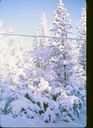 Filename=87-19.jpg
Filesize=497KiB
Dimensions=1310x1800
Date added=Feb 01, 2018 87-19.jpg