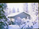 Filename=87-21.jpg
Filesize=538KiB
Dimensions=1800x1353
Date added=Feb 01, 2018 87-21.jpg