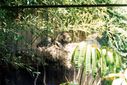 Filename=15-122.jpg
Filesize=450KiB
Dimensions=1764x1184
Date added=Feb 01, 2018 15-122.jpg