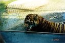 Filename=15-125.jpg
Filesize=335KiB
Dimensions=1772x1188
Date added=Feb 01, 2018 15-125.jpg