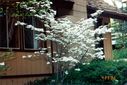 Filename=15-84.jpg
Filesize=505KiB
Dimensions=1774x1186
Date added=Feb 01, 2018 15-84.jpg