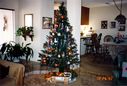Filename=17-65.jpg
Filesize=425KiB
Dimensions=1760x1188
Date added=Feb 01, 2018 17-65.jpg