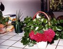 Filename=9-156.jpg
Filesize=317KiB
Dimensions=1309x1024
Date added=Feb 01, 2018 9-156.jpg