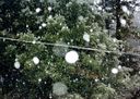 Filename=9-190.jpg
Filesize=454KiB
Dimensions=1388x987
Date added=Feb 01, 2018 9-190.jpg