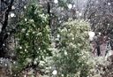 Filename=9-191.jpg
Filesize=498KiB
Dimensions=1440x982
Date added=Feb 01, 2018 9-191.jpg