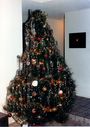 Filename=9-198.jpg
Filesize=463KiB
Dimensions=1030x1449
Date added=Feb 01, 2018 9-198.jpg