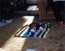 Filename=9-205.jpg
Filesize=343KiB
Dimensions=1299x1015
Date added=Feb 01, 2018 9-205.jpg
