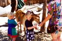 Filename=Scanned-25.jpg
Filesize=447KiB
Dimensions=1788x1184
Date added=Jul 20, 2017 Scanned-25.jpg