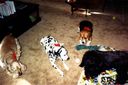 Filename=Scanned-36_001.jpg
Filesize=390KiB
Dimensions=1784x1188
Date added=Jul 20, 2017 Scanned-36_001.jpg