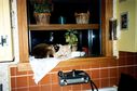 Filename=Scanned-37_001.jpg
Filesize=383KiB
Dimensions=1784x1184
Date added=Jul 20, 2017 Scanned-37_001.jpg