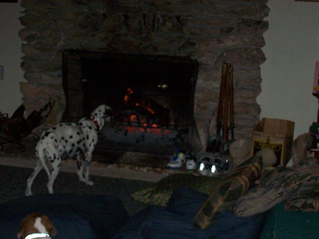 100_0354.JPG