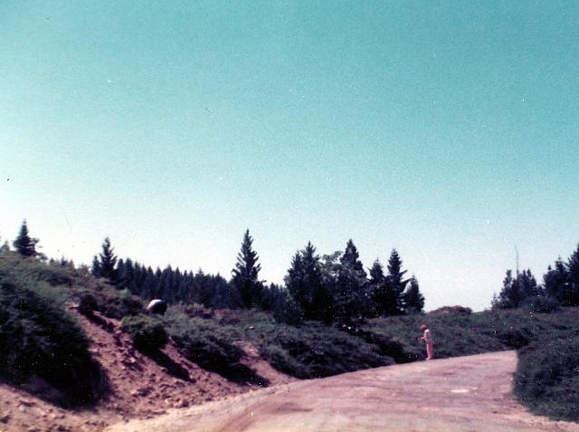11-115.jpg