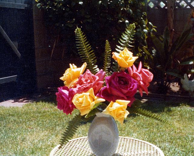 11-69.jpg