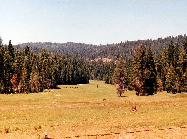 14-115.jpg