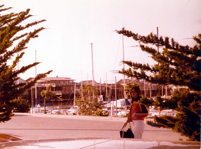 6-77.jpg
