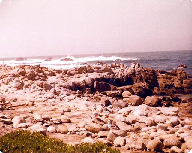 6-88.jpg