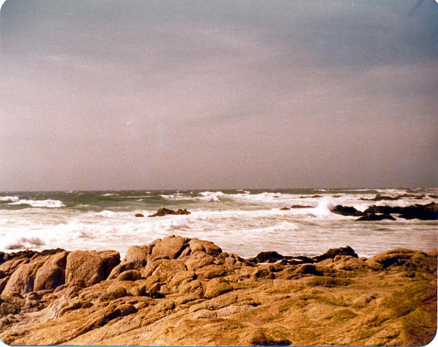 6-89.jpg