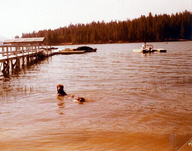 7-79.jpg