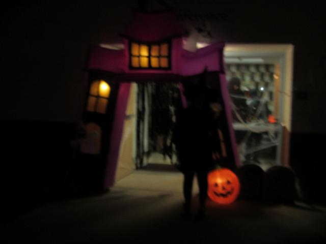IMG 1528