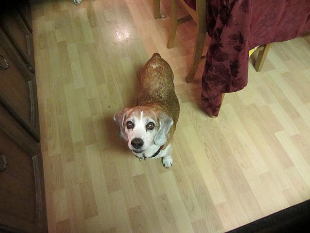 IMG 1568