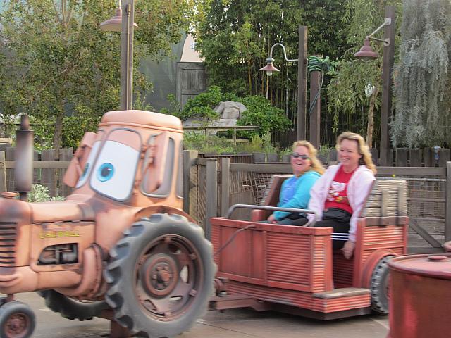 IMG 1142
