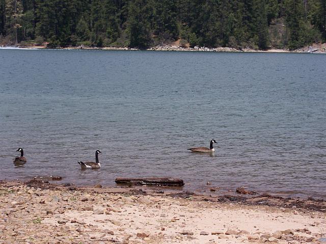 100_0129.JPG