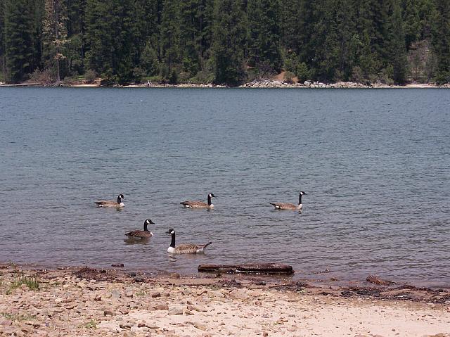 100_0130.JPG